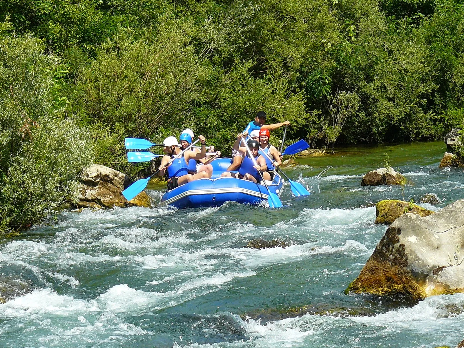 Swimming in the clear Cetina river